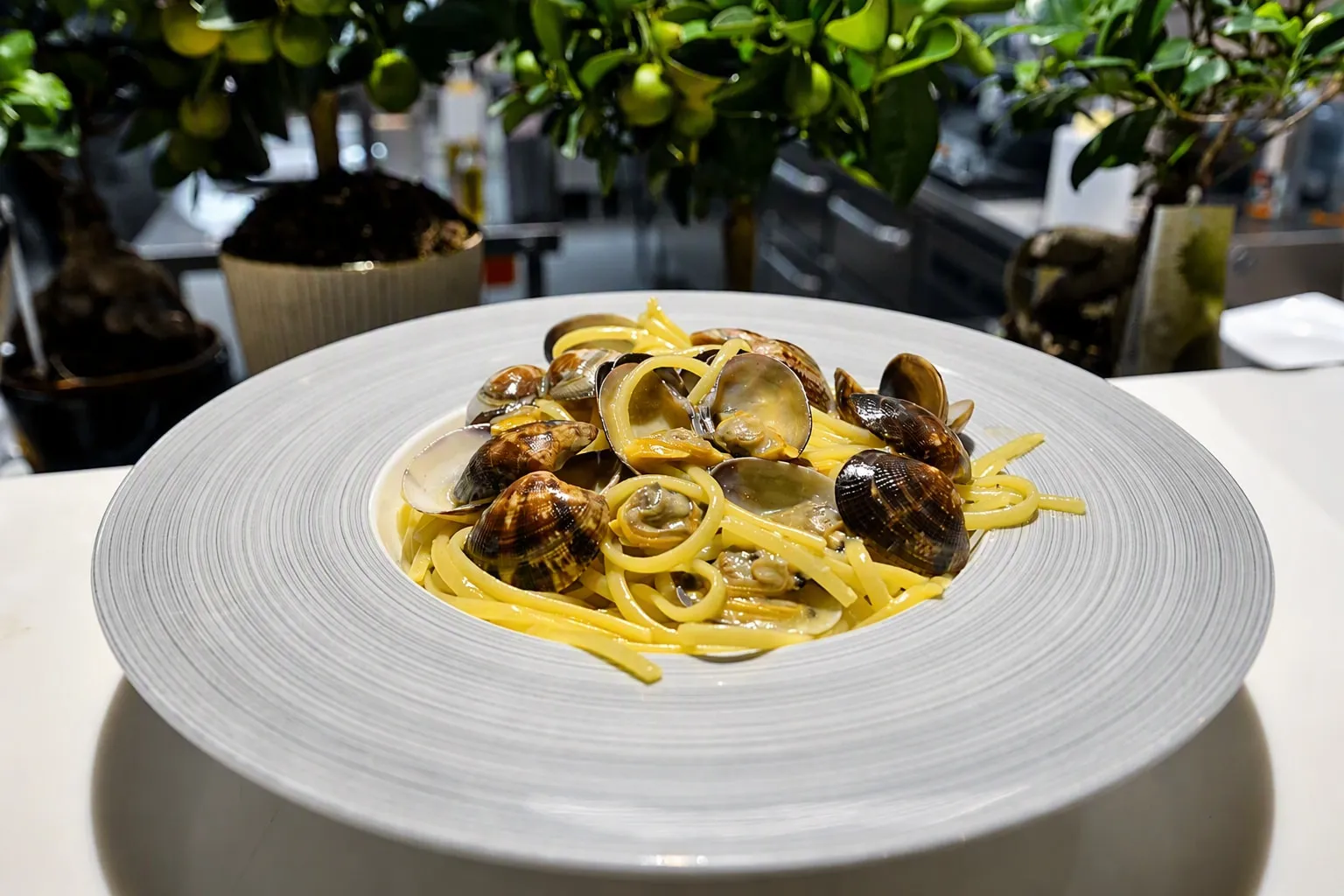 Dyp hvit tallerken med spaghetti og skjell i lett saus